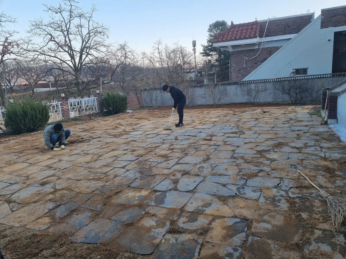 이미지 24