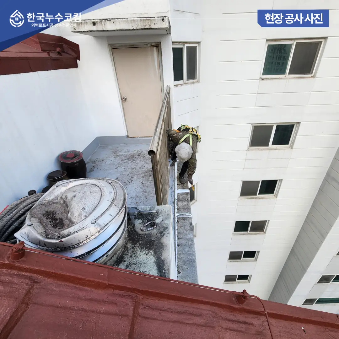 이미지 16