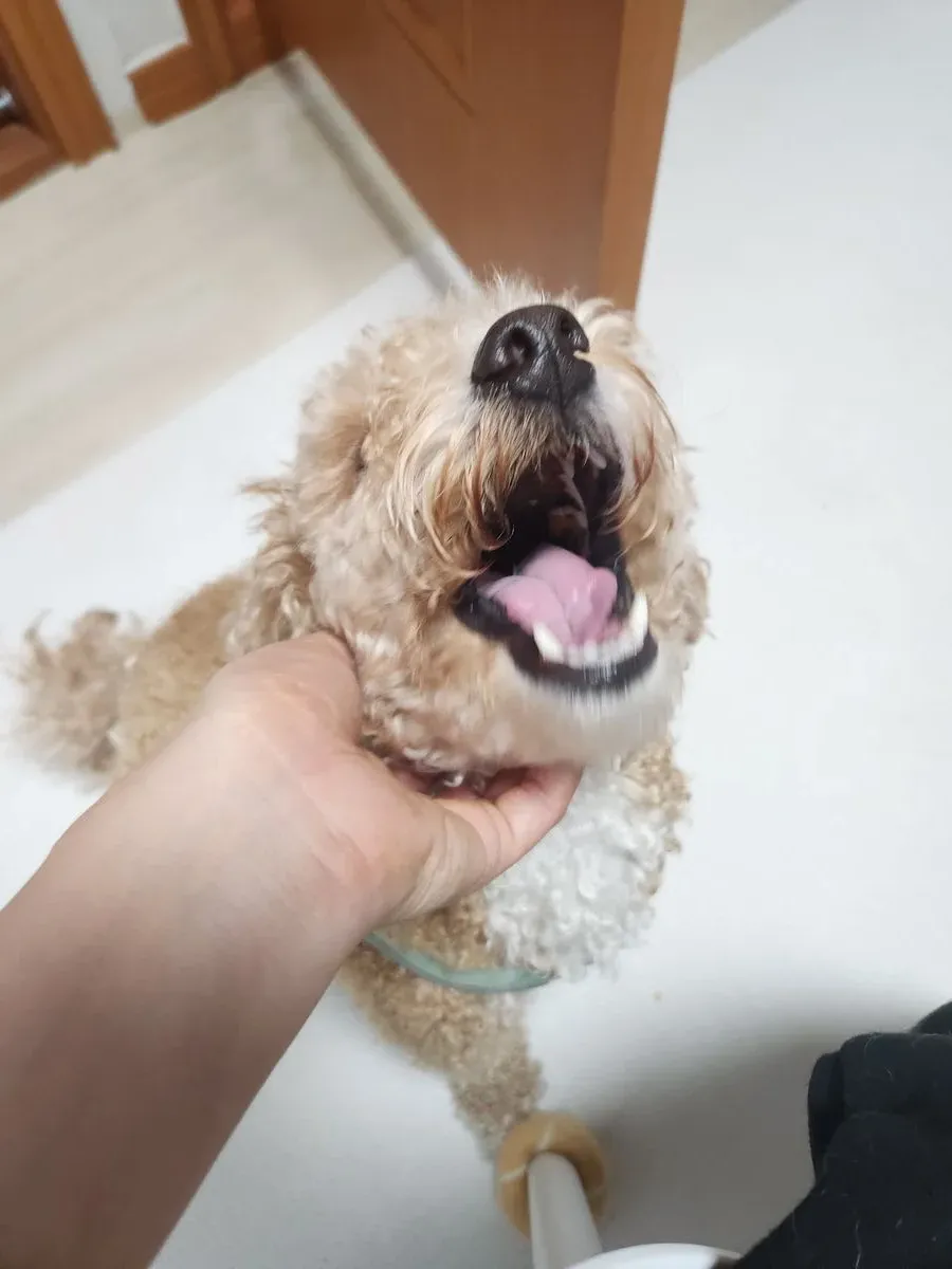 이미지 3