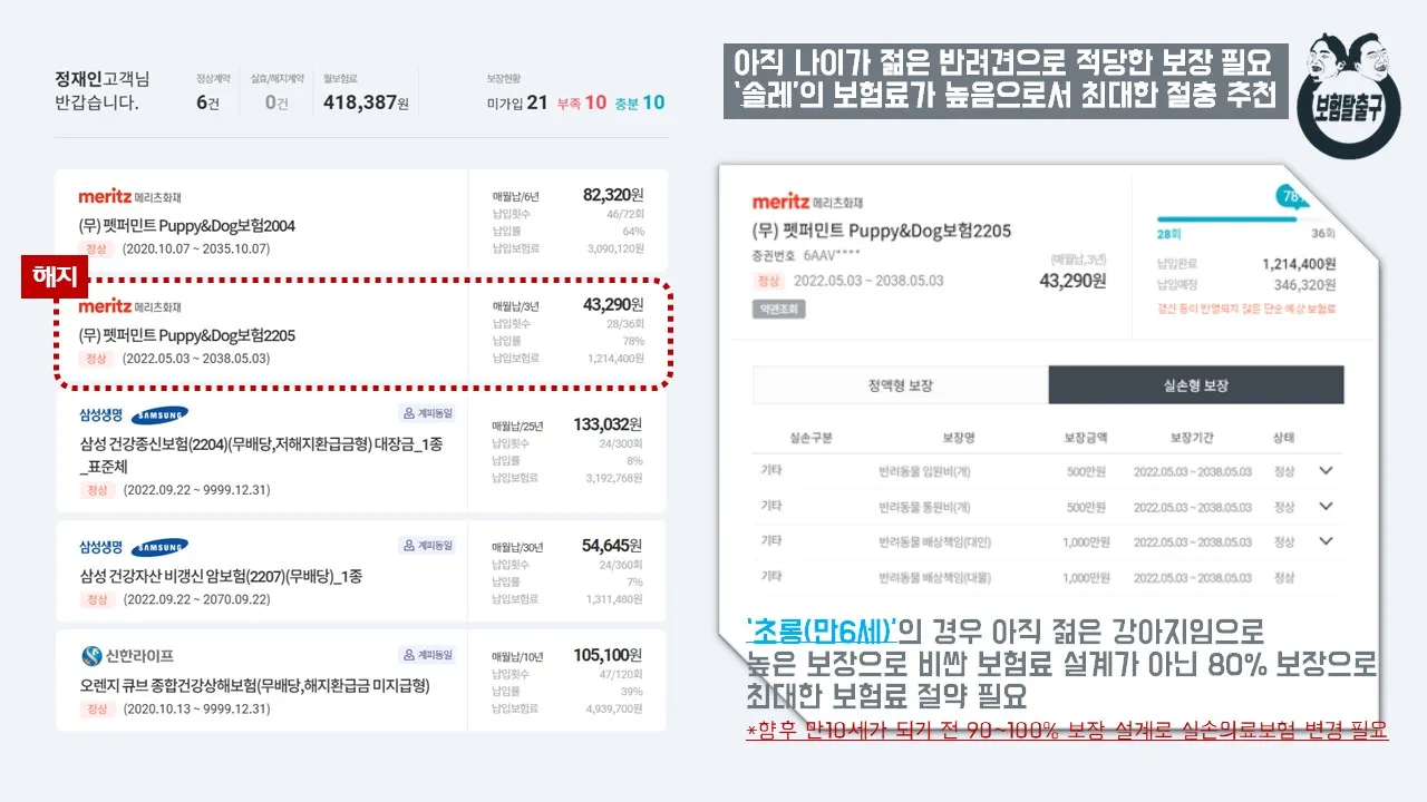 이미지 11