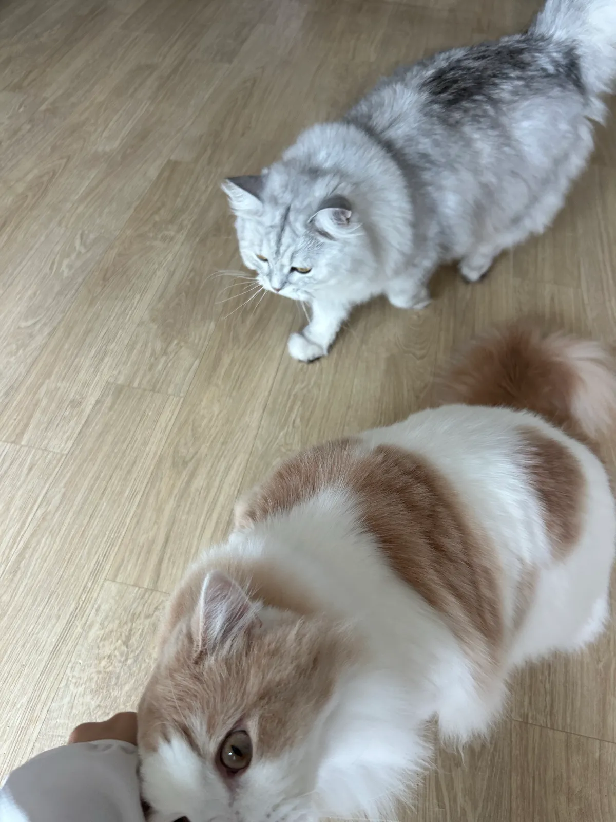이미지 6