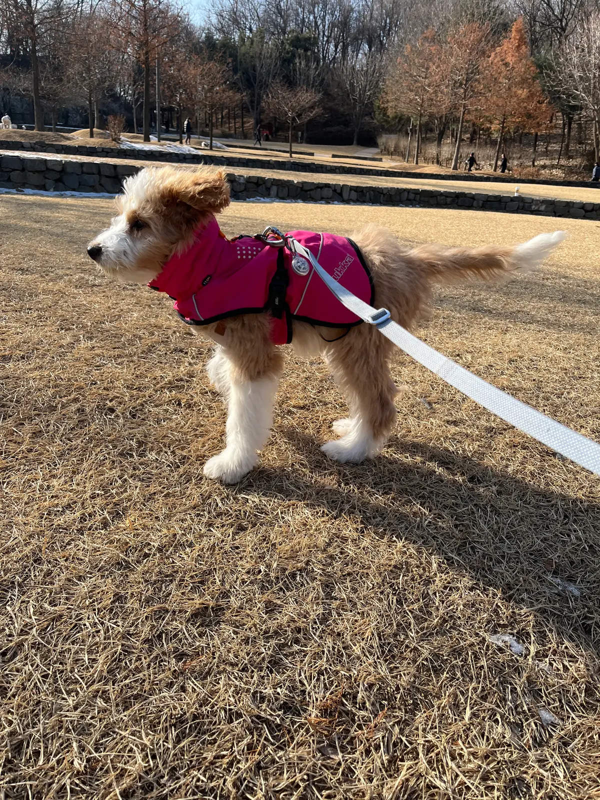 이미지 14