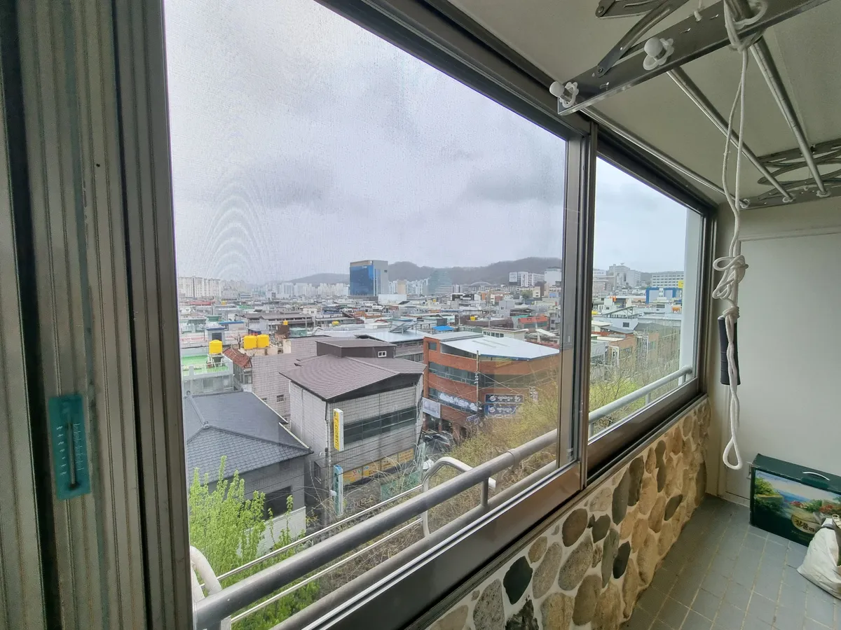 이미지 8