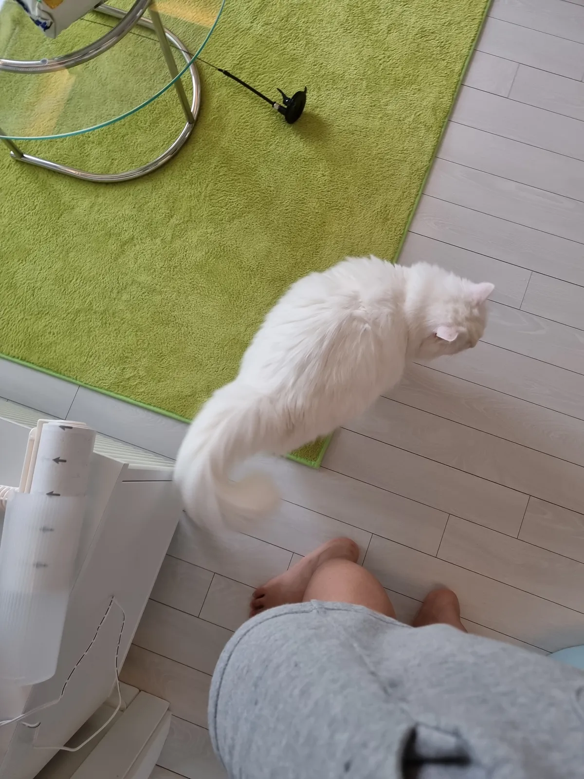 이미지 3