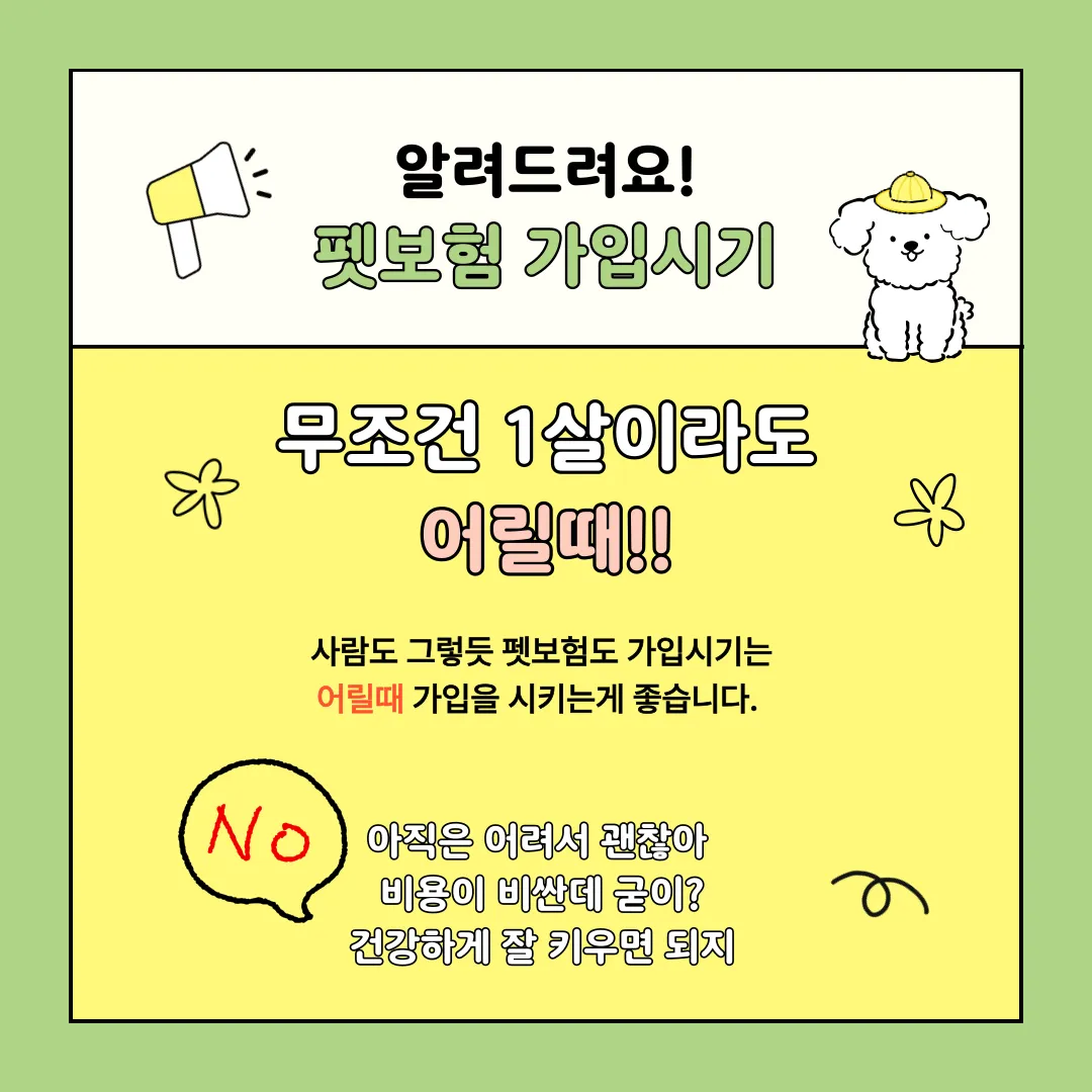 이미지 6