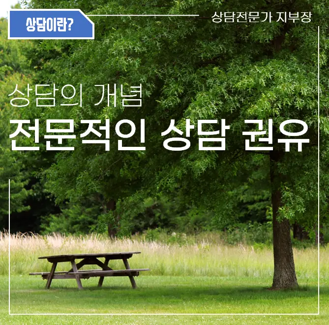 이미지 5