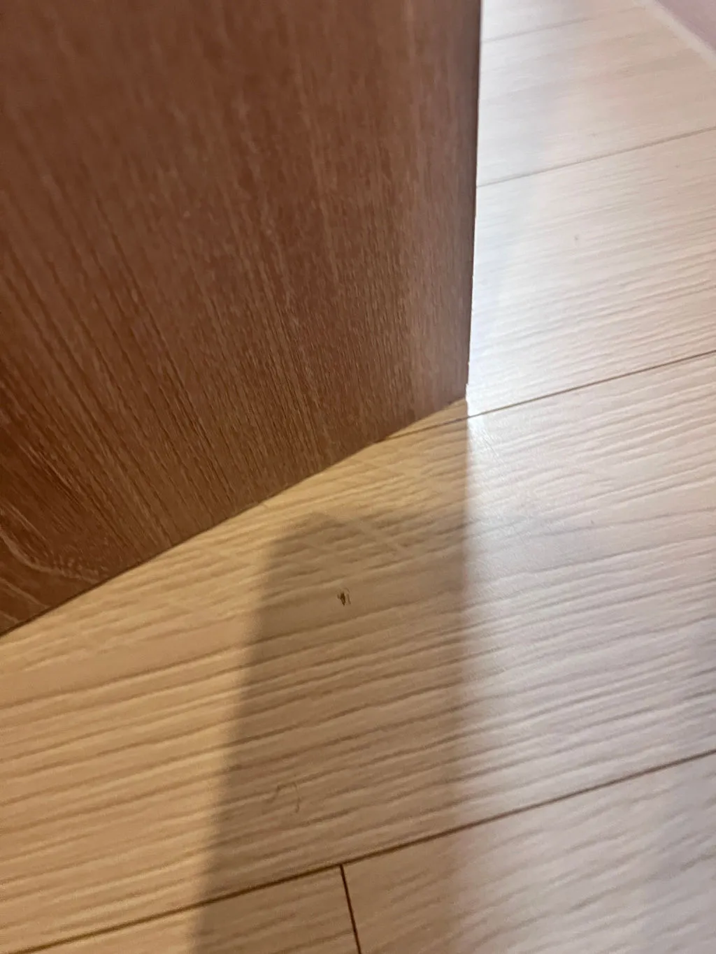 이미지 12