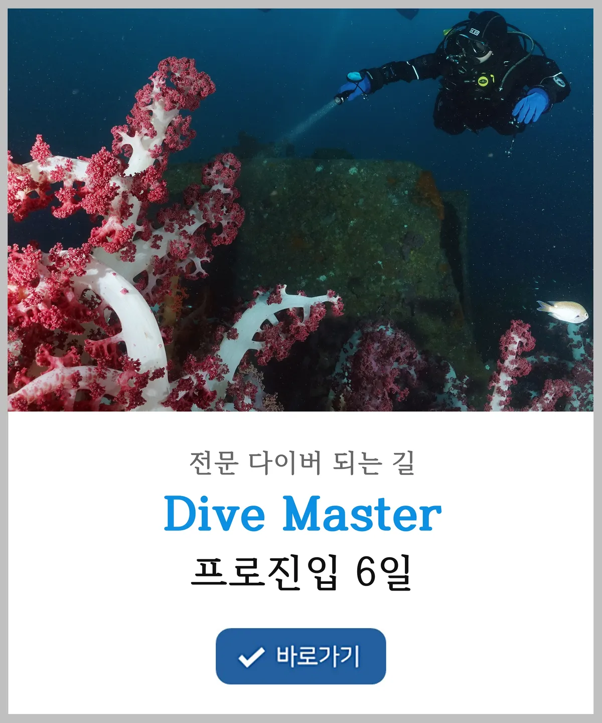 이미지 6