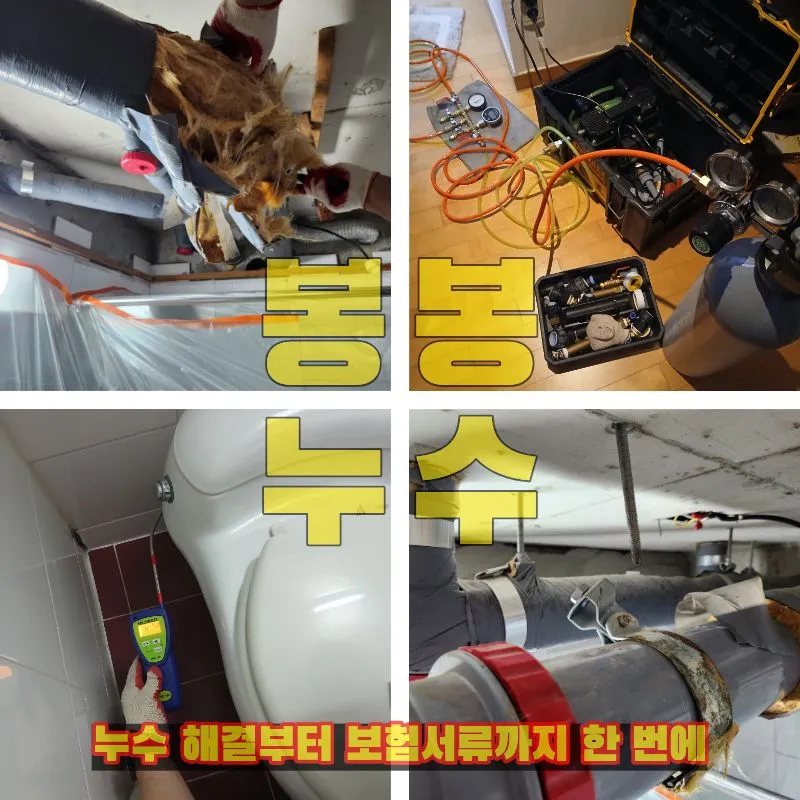이미지 9
