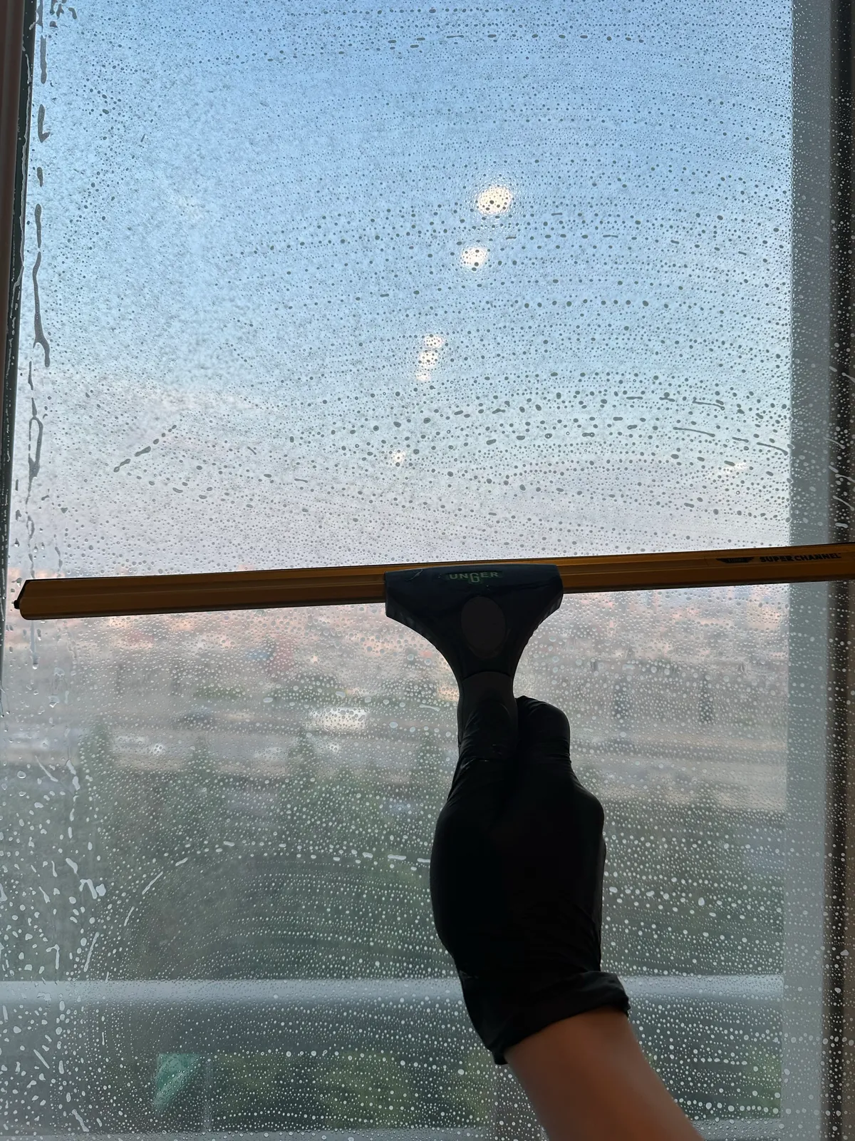 이미지 10