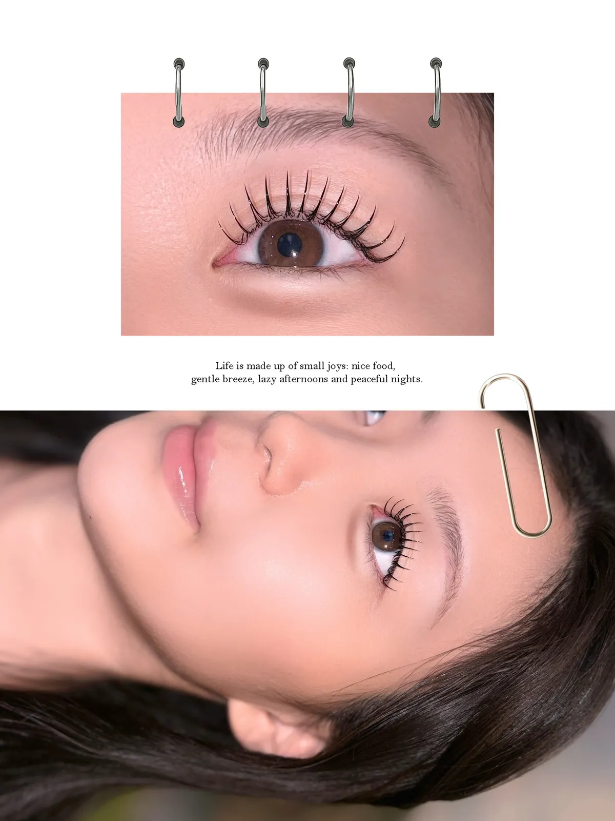 이미지 8