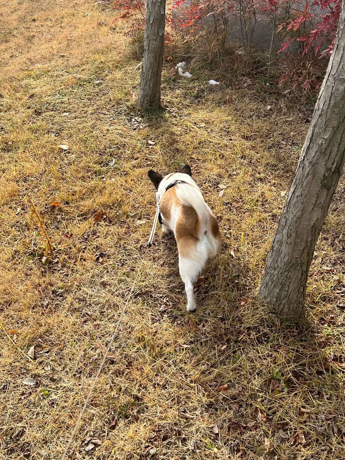 이미지 6