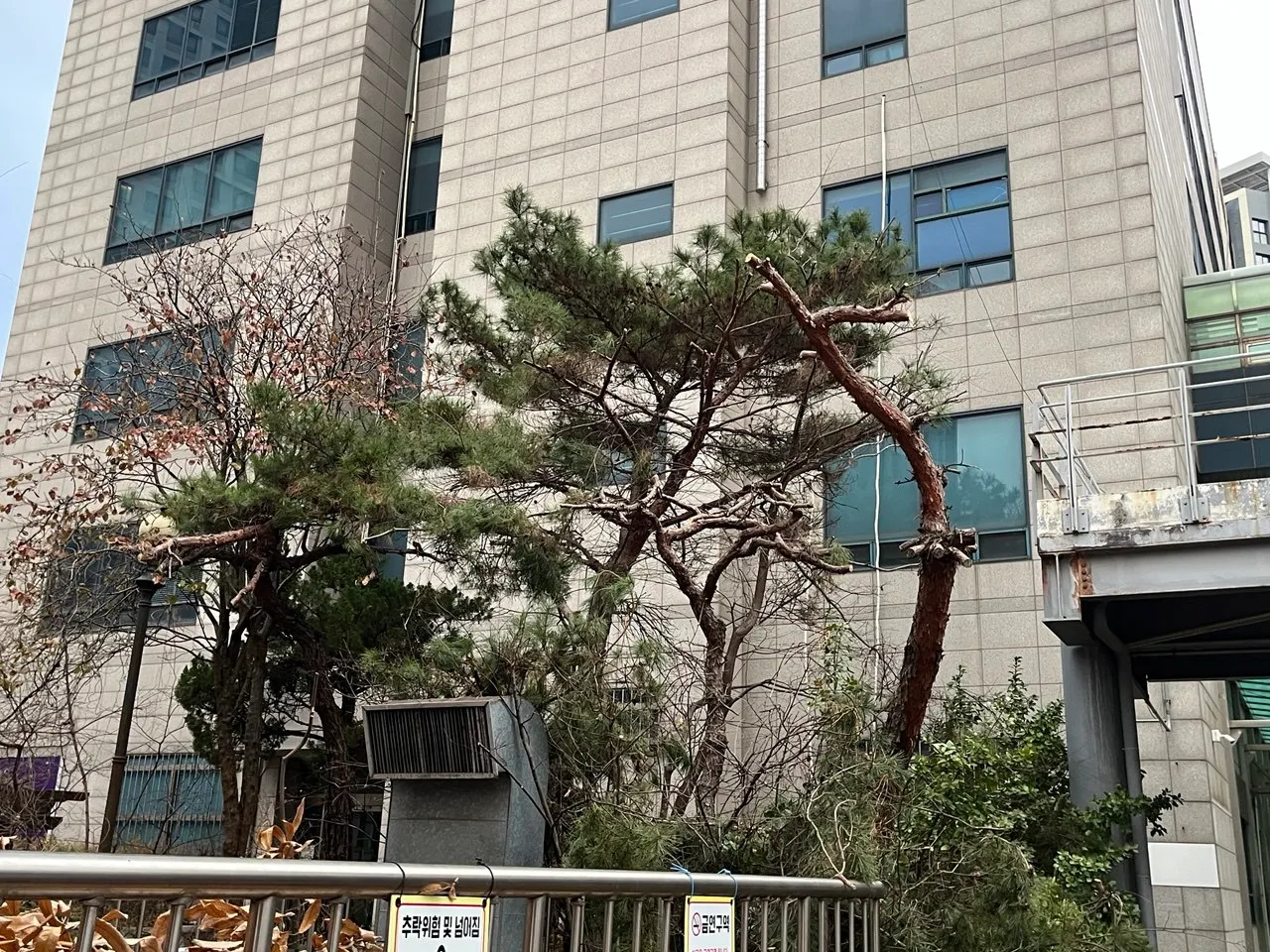 이미지 12