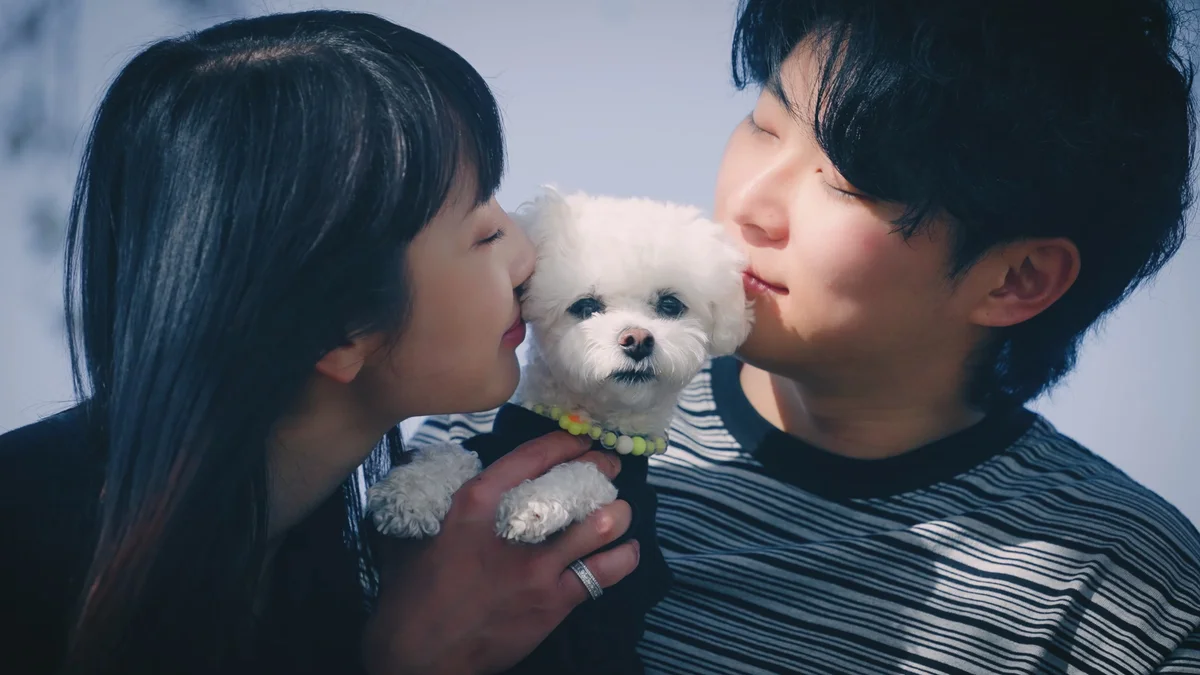 이미지 12