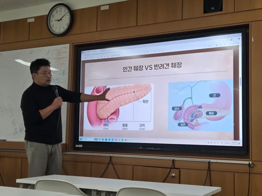 이미지 4