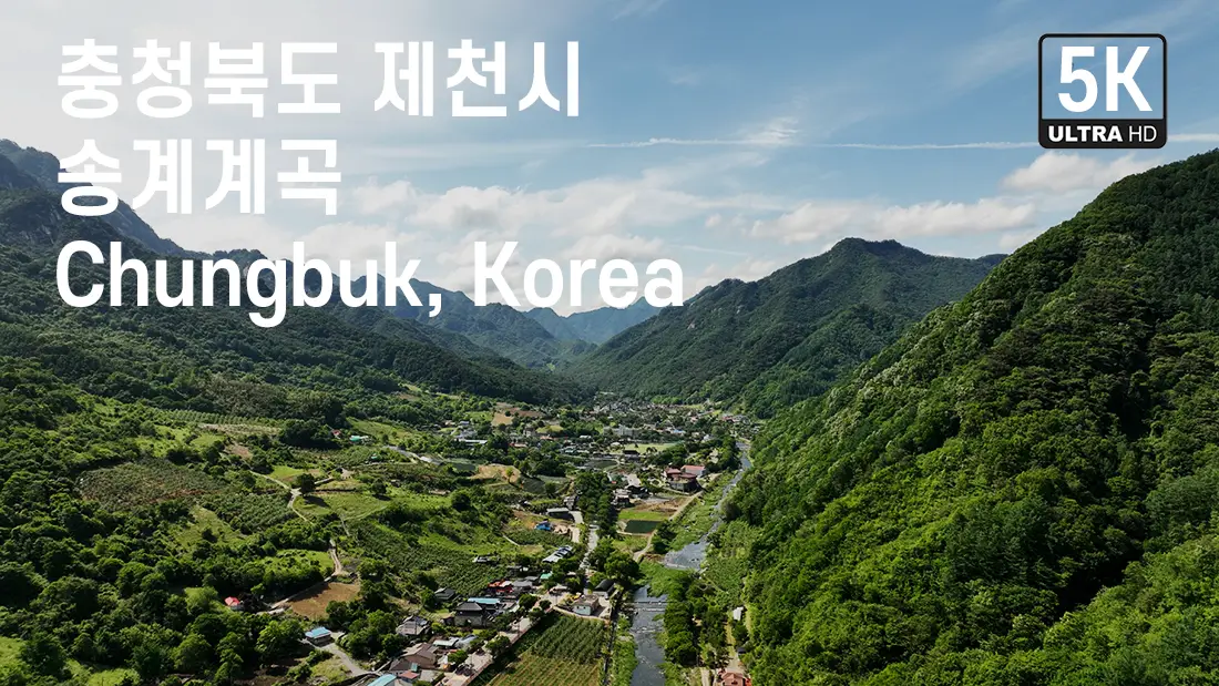 이미지 4