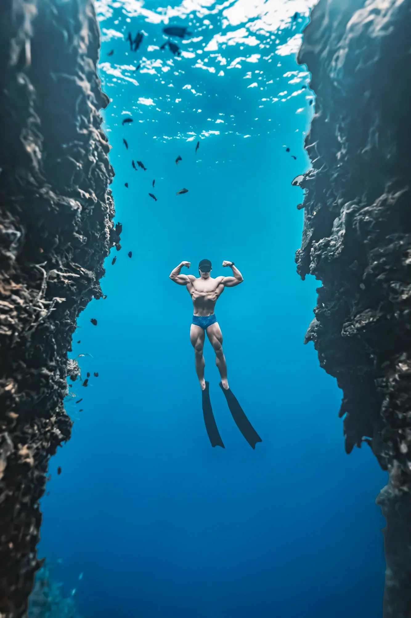 포트폴리오 이미지