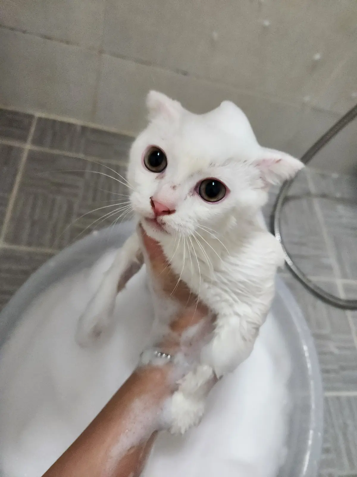 이미지 3