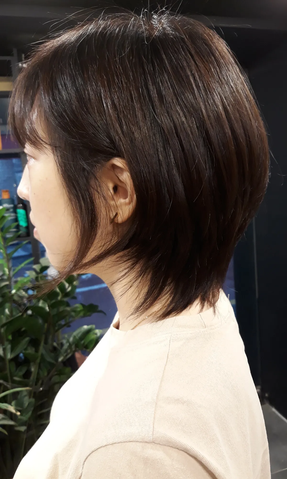 이미지 7