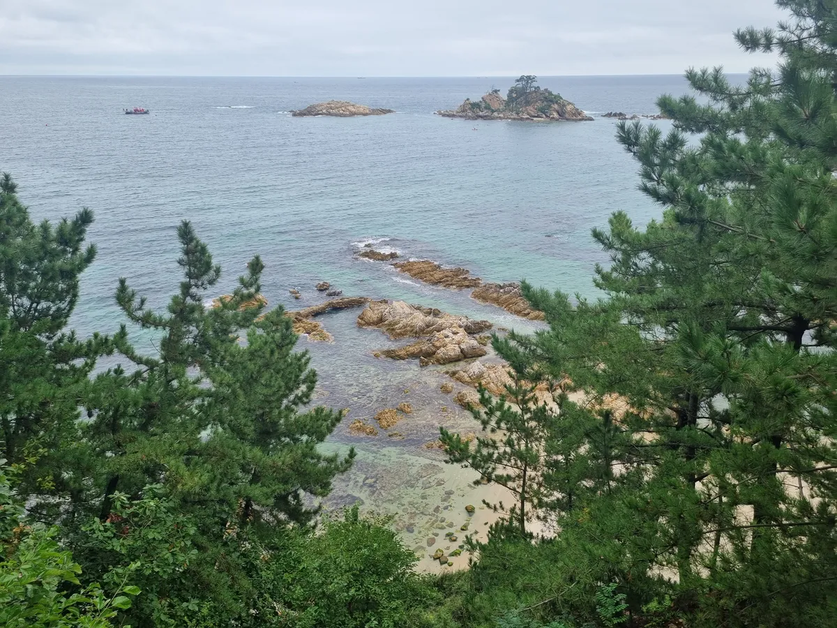이미지 3