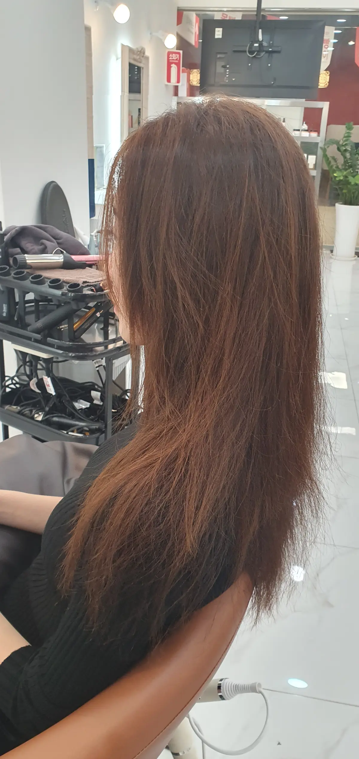 이미지 3