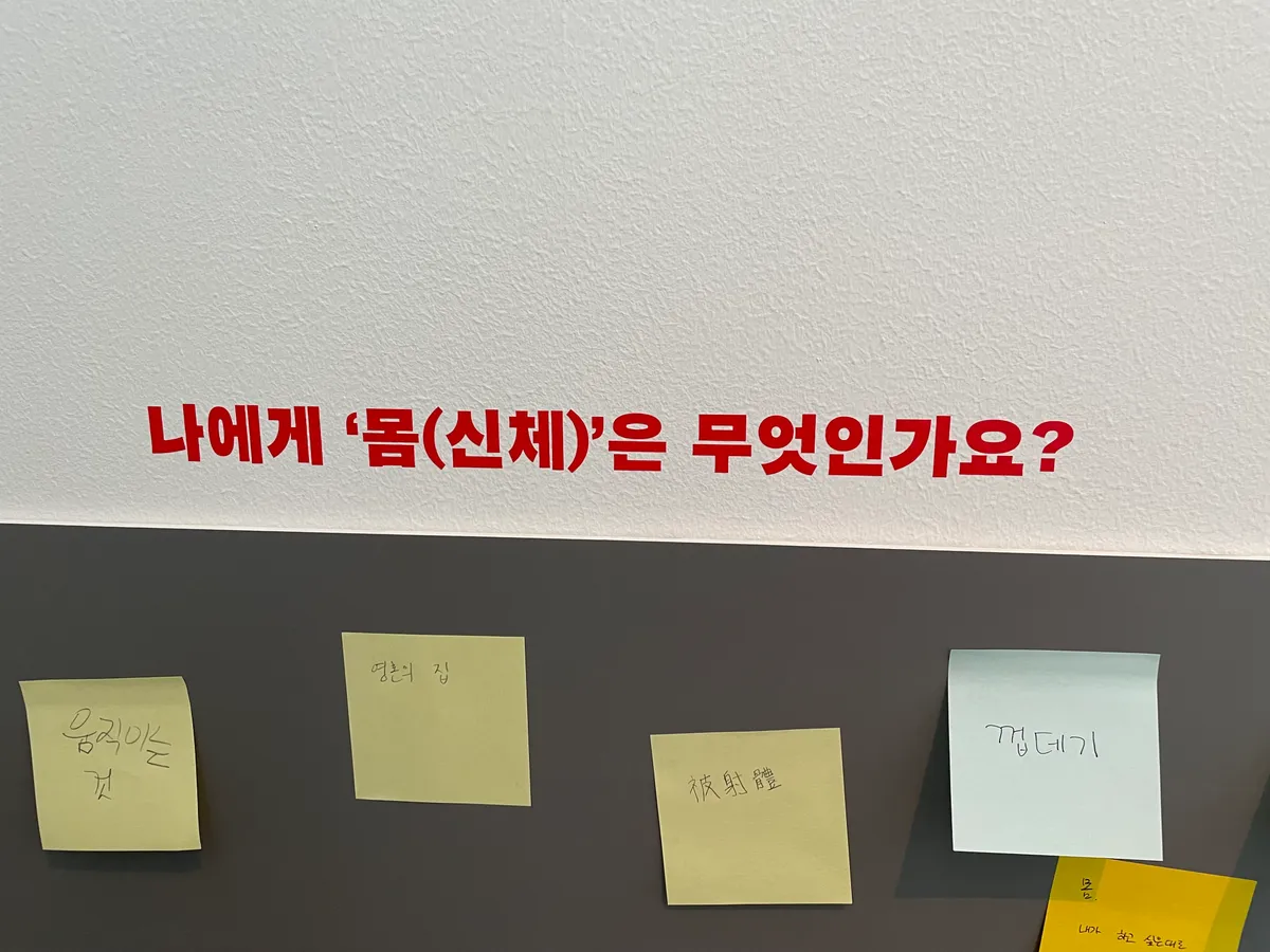 이미지 3