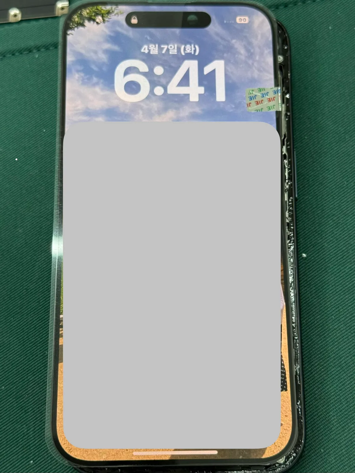 이미지 12