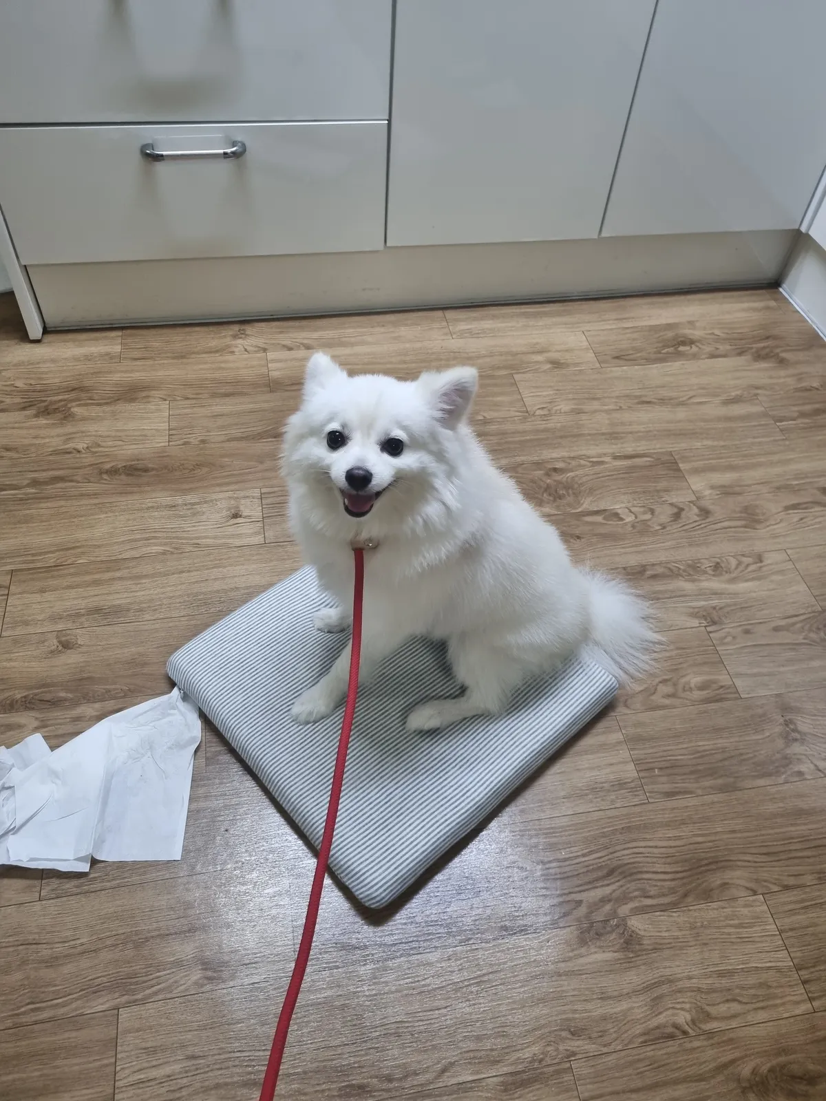 이미지 7