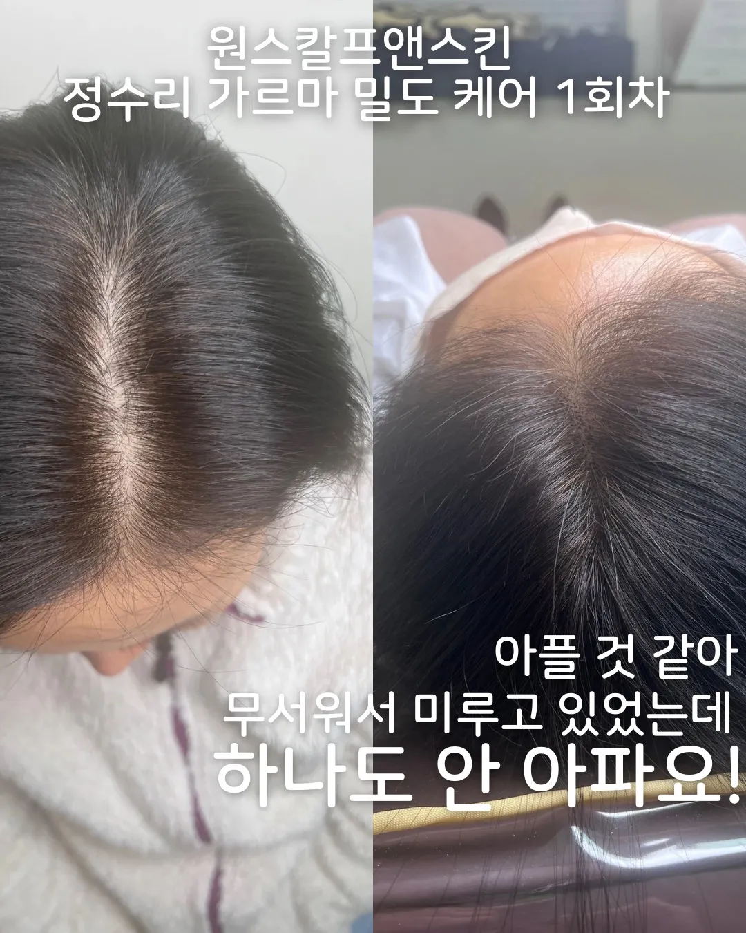 이미지 7