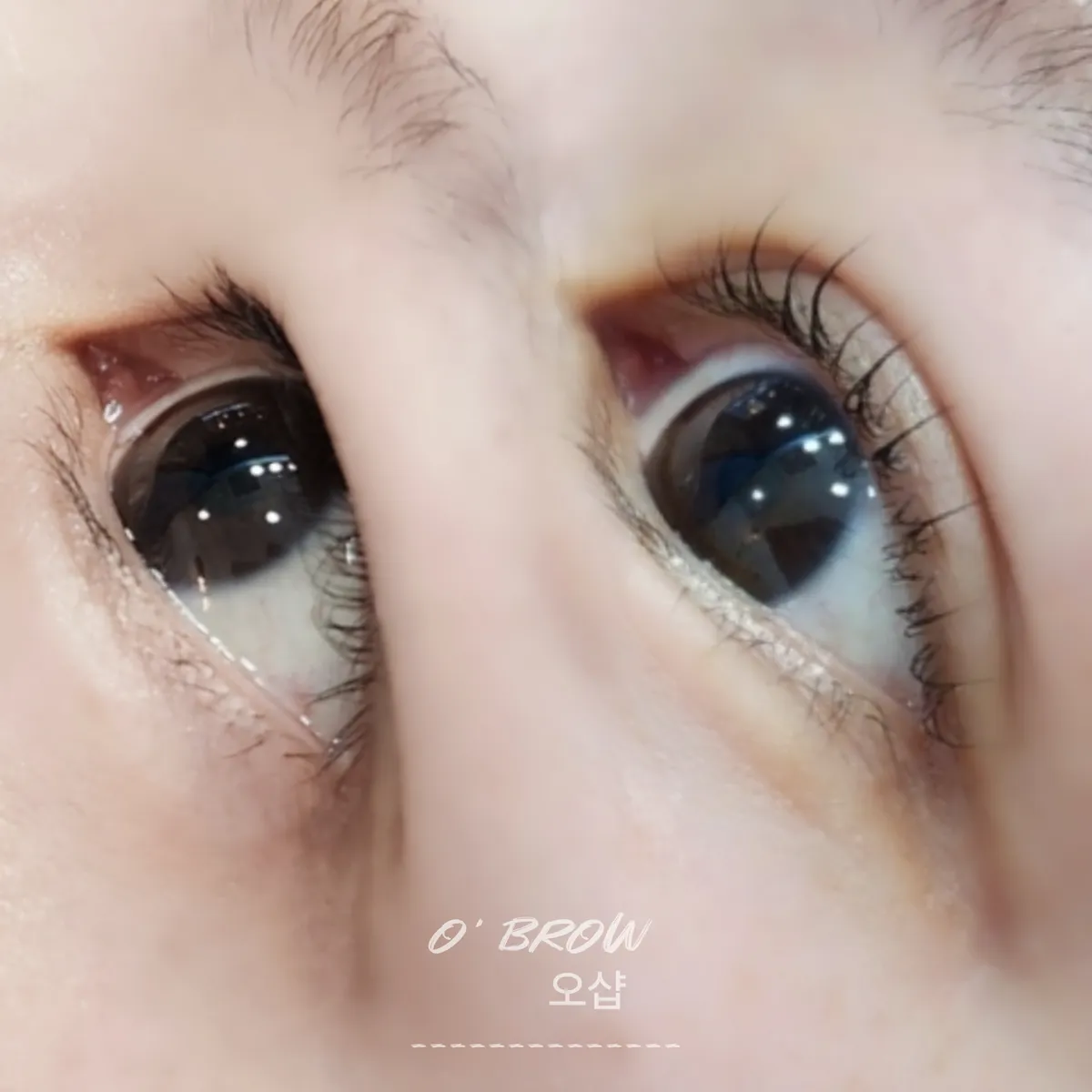 이미지 7