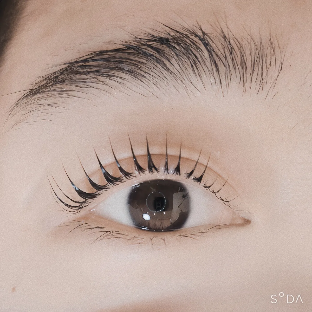 이미지 5