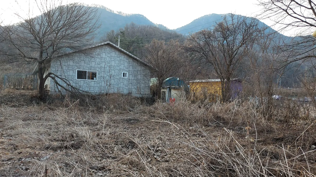 이미지 5