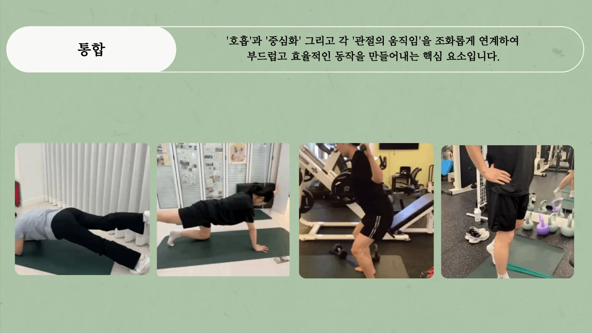 이미지 16