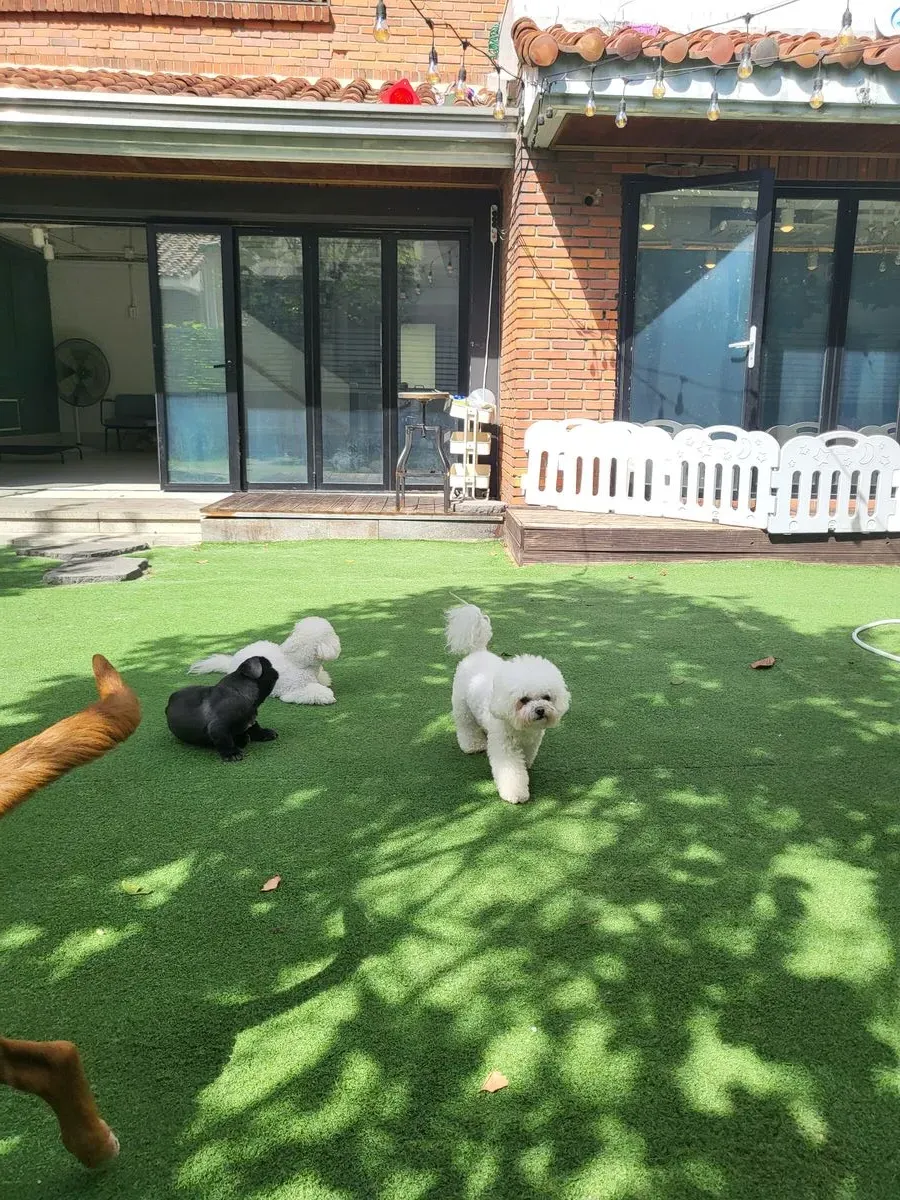 이미지 5