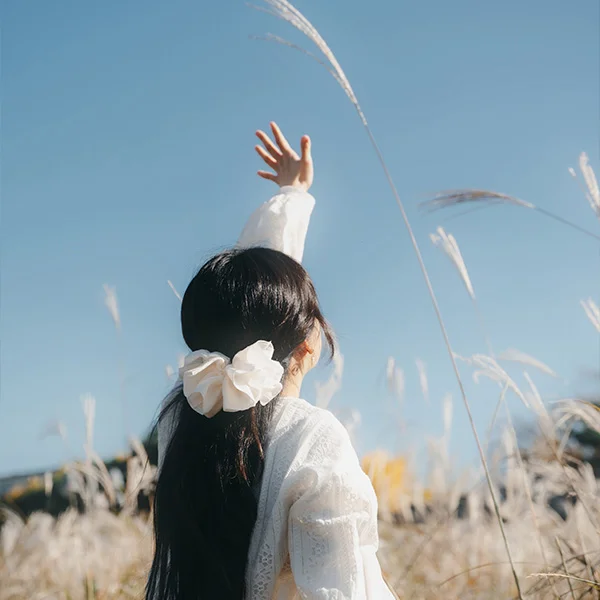 이미지 7