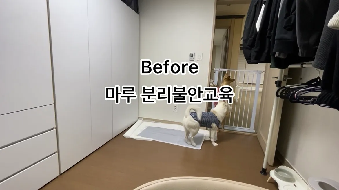 이미지 4
