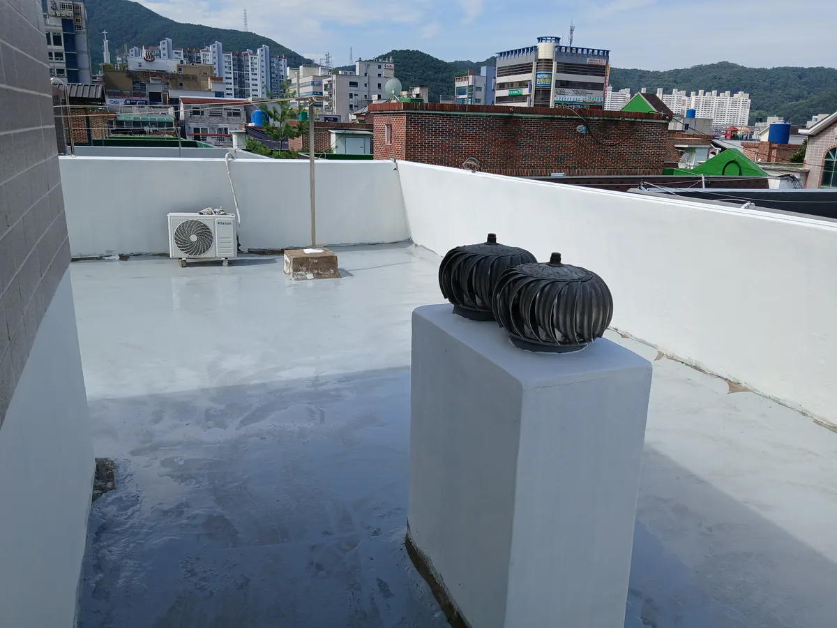 이미지 12