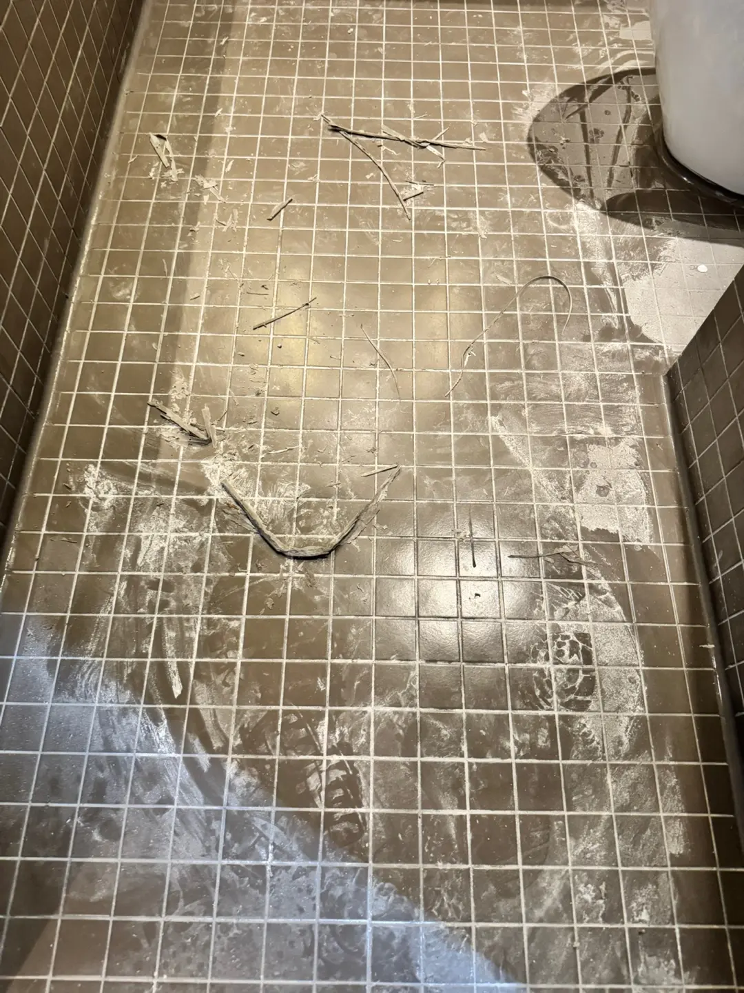 이미지 6