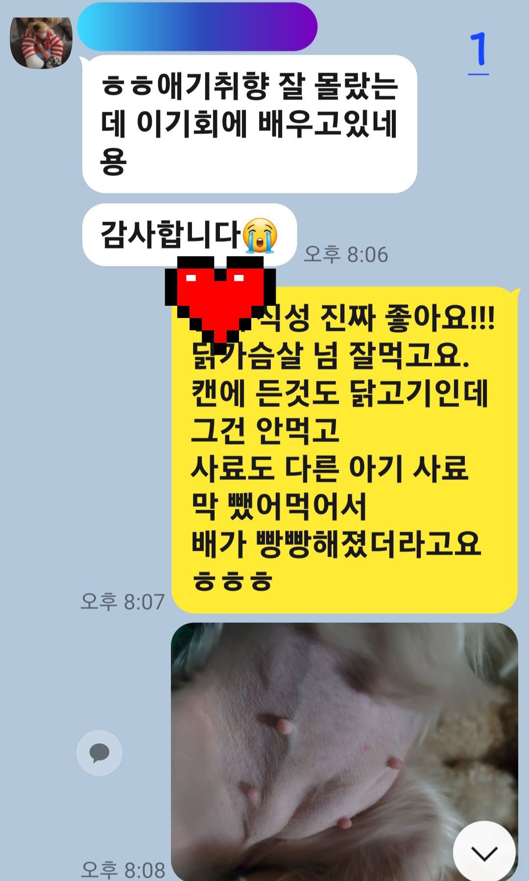 이미지 3