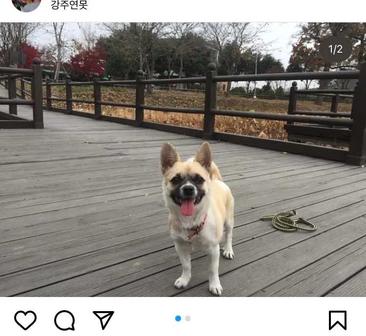 이미지 8