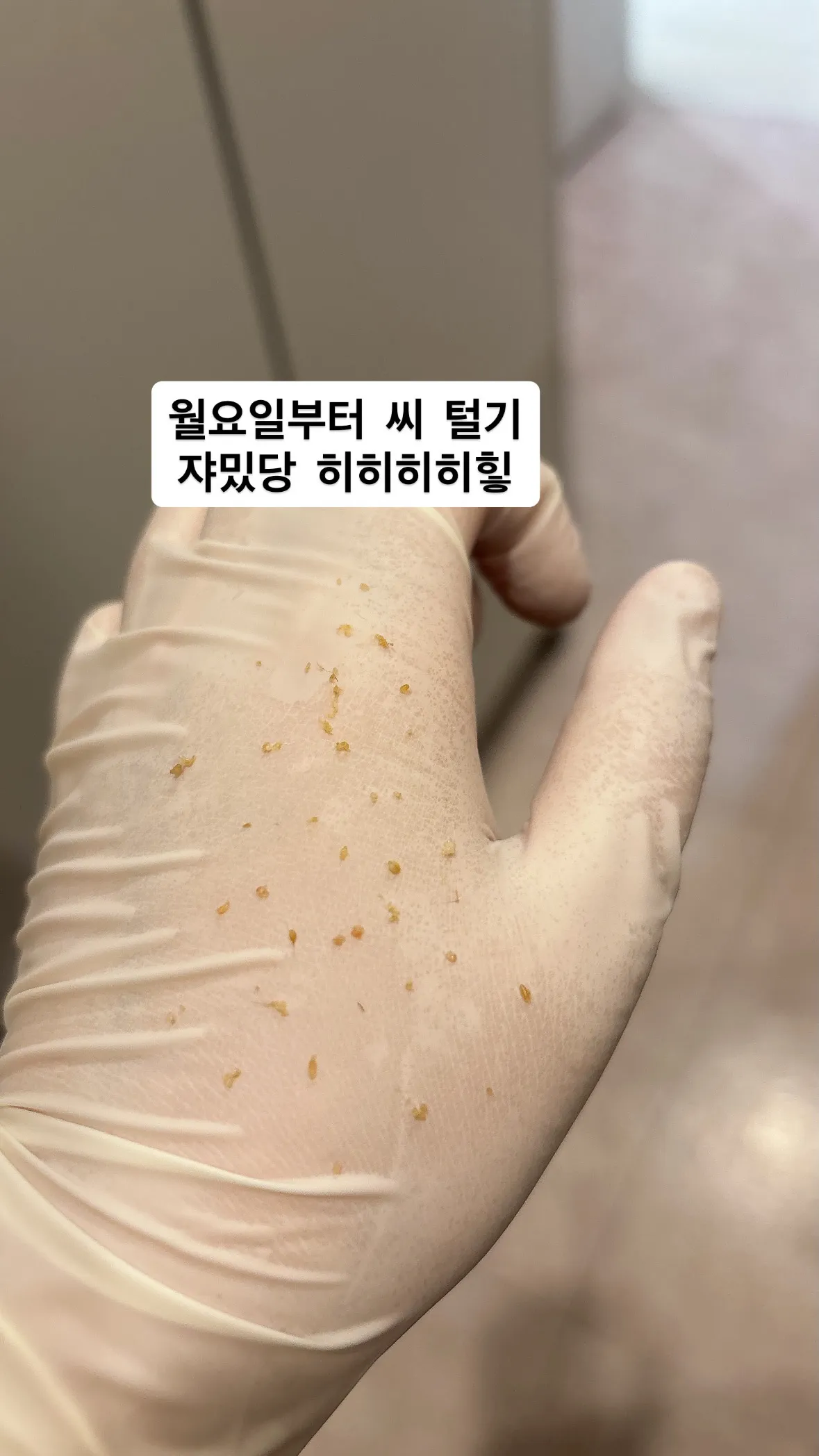 이미지 4