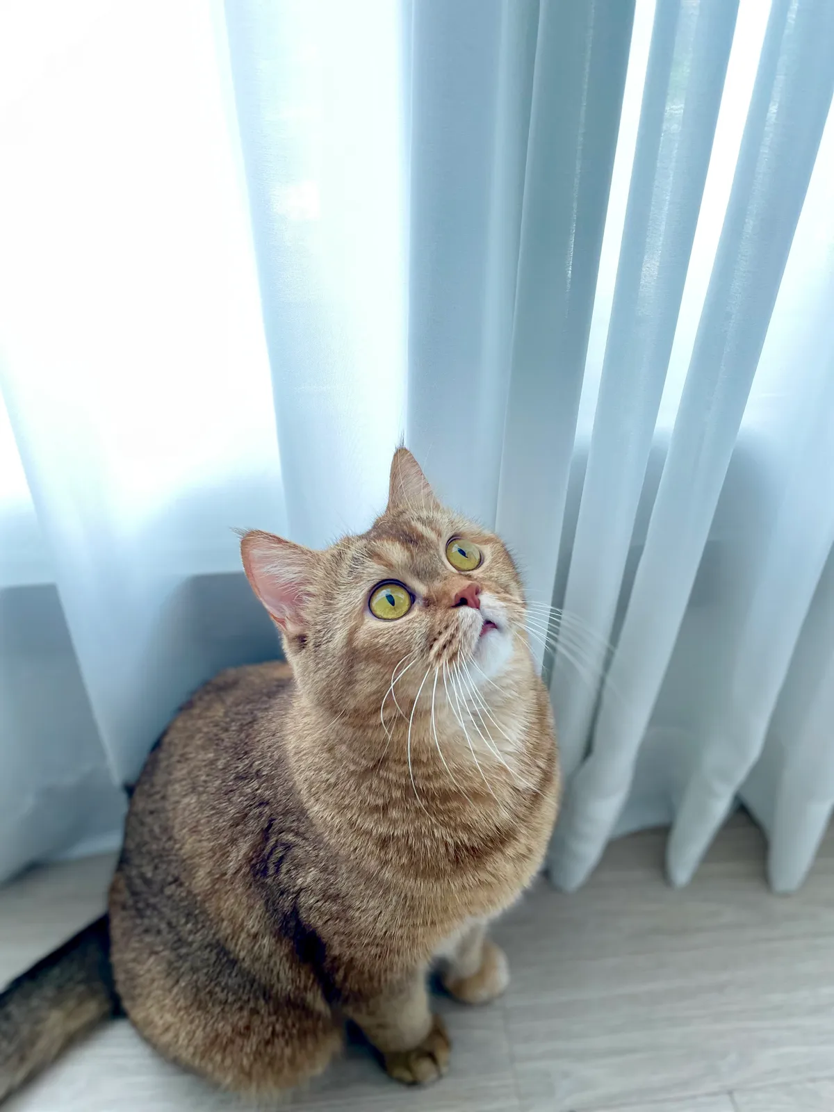 이미지 3