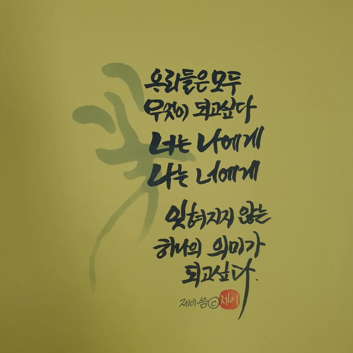 이미지 5