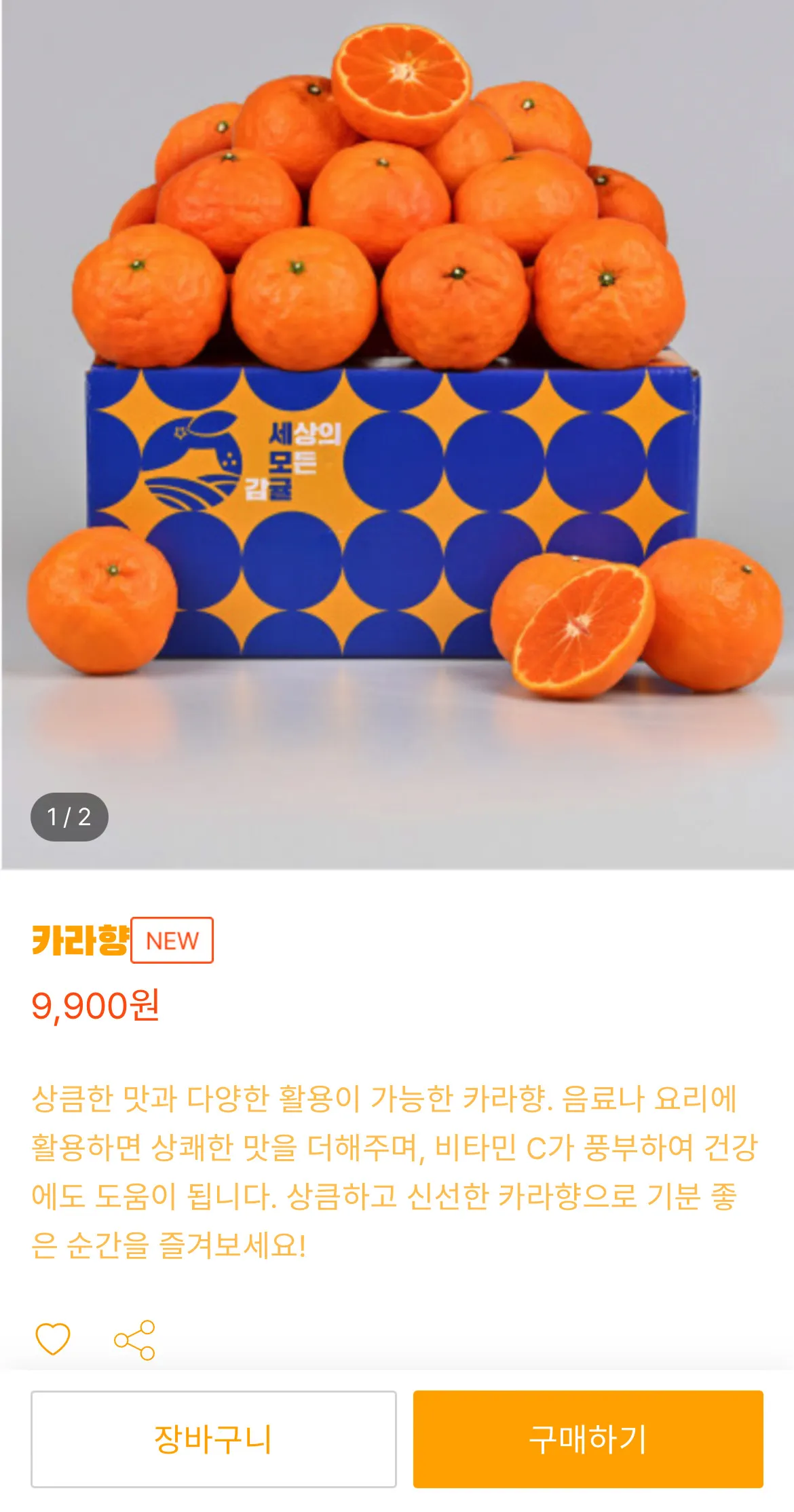 이미지 5