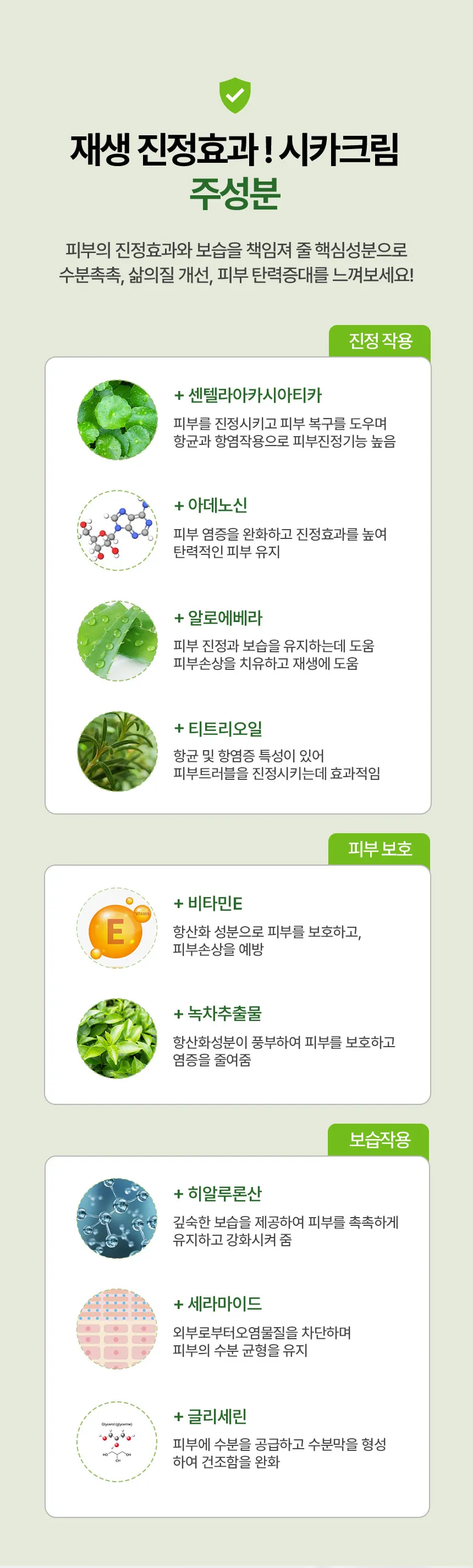 이미지 12