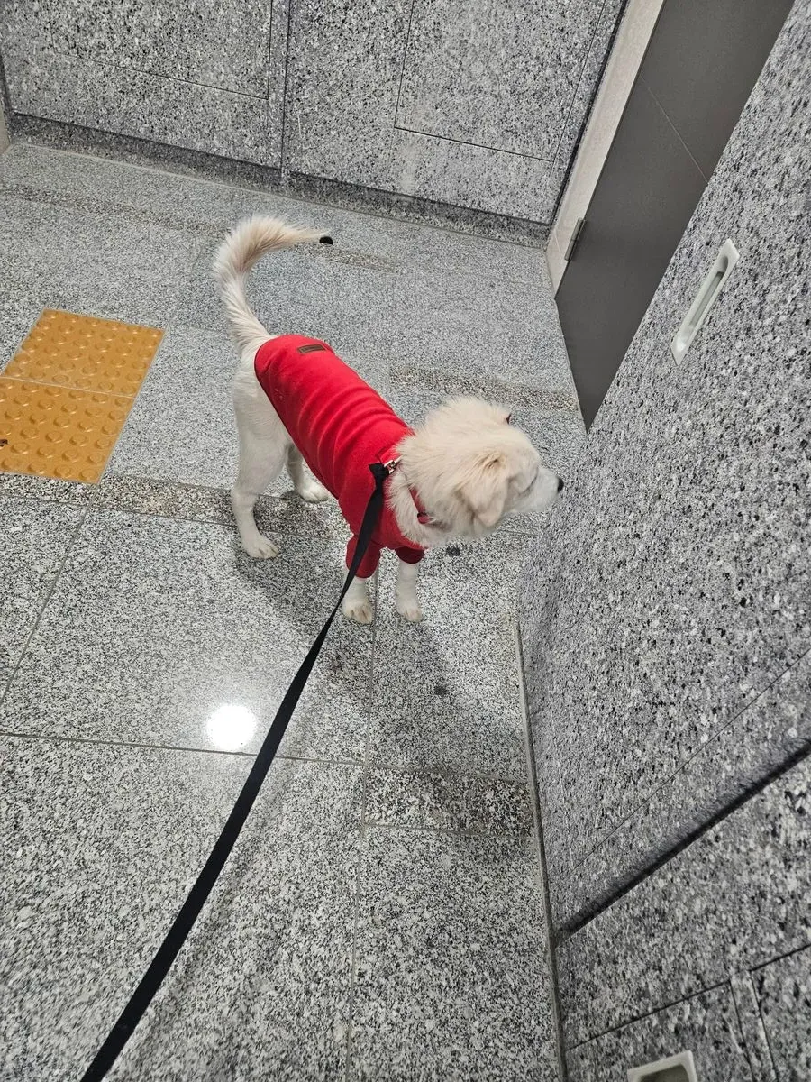이미지 6
