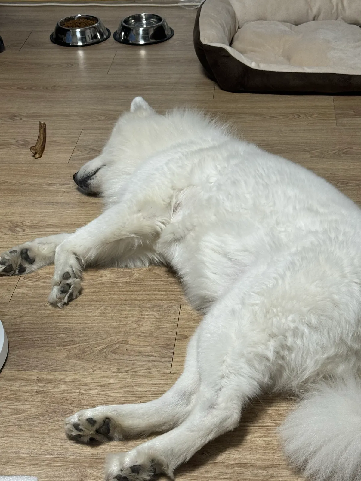 이미지 6