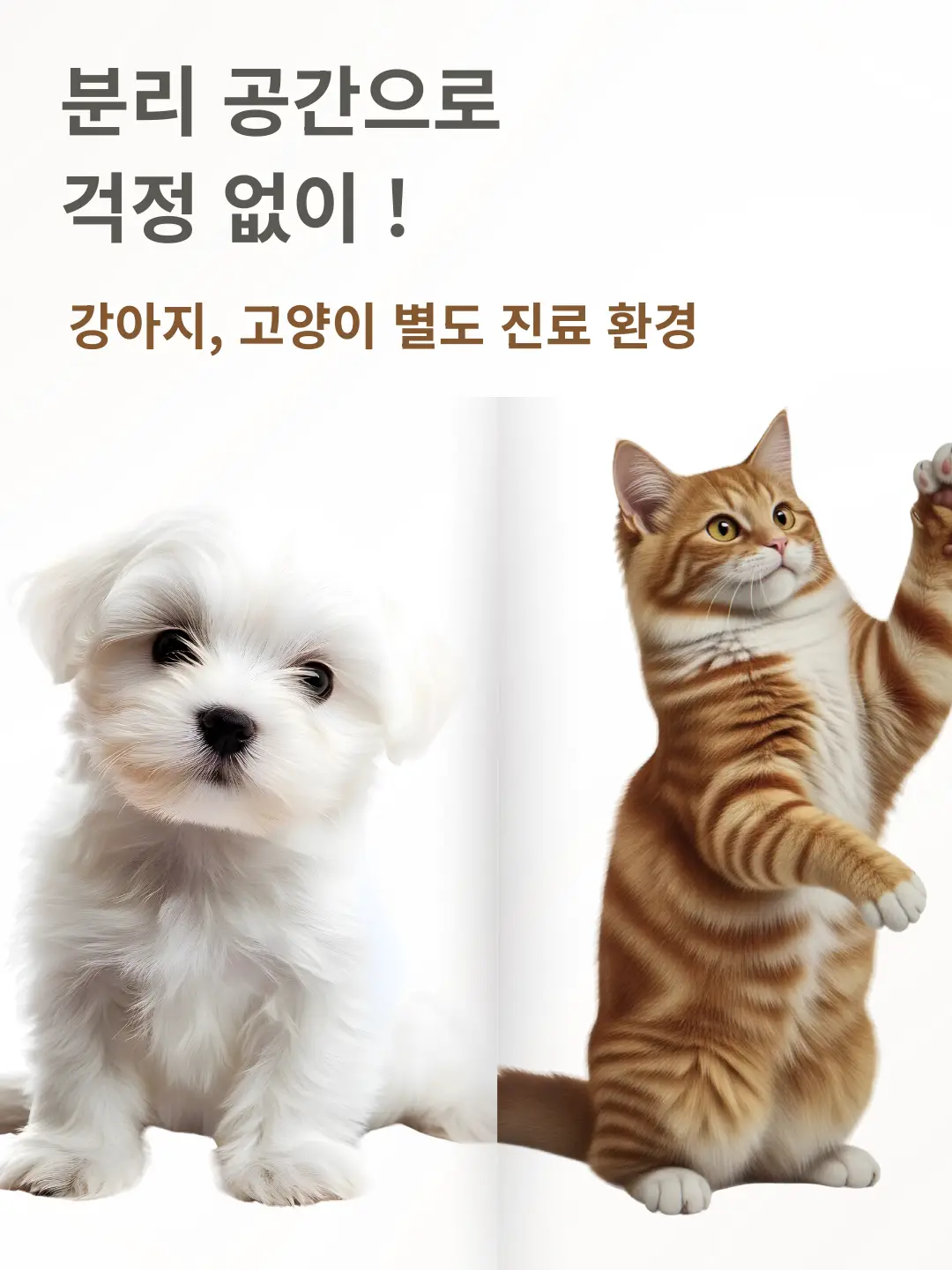 이미지 10