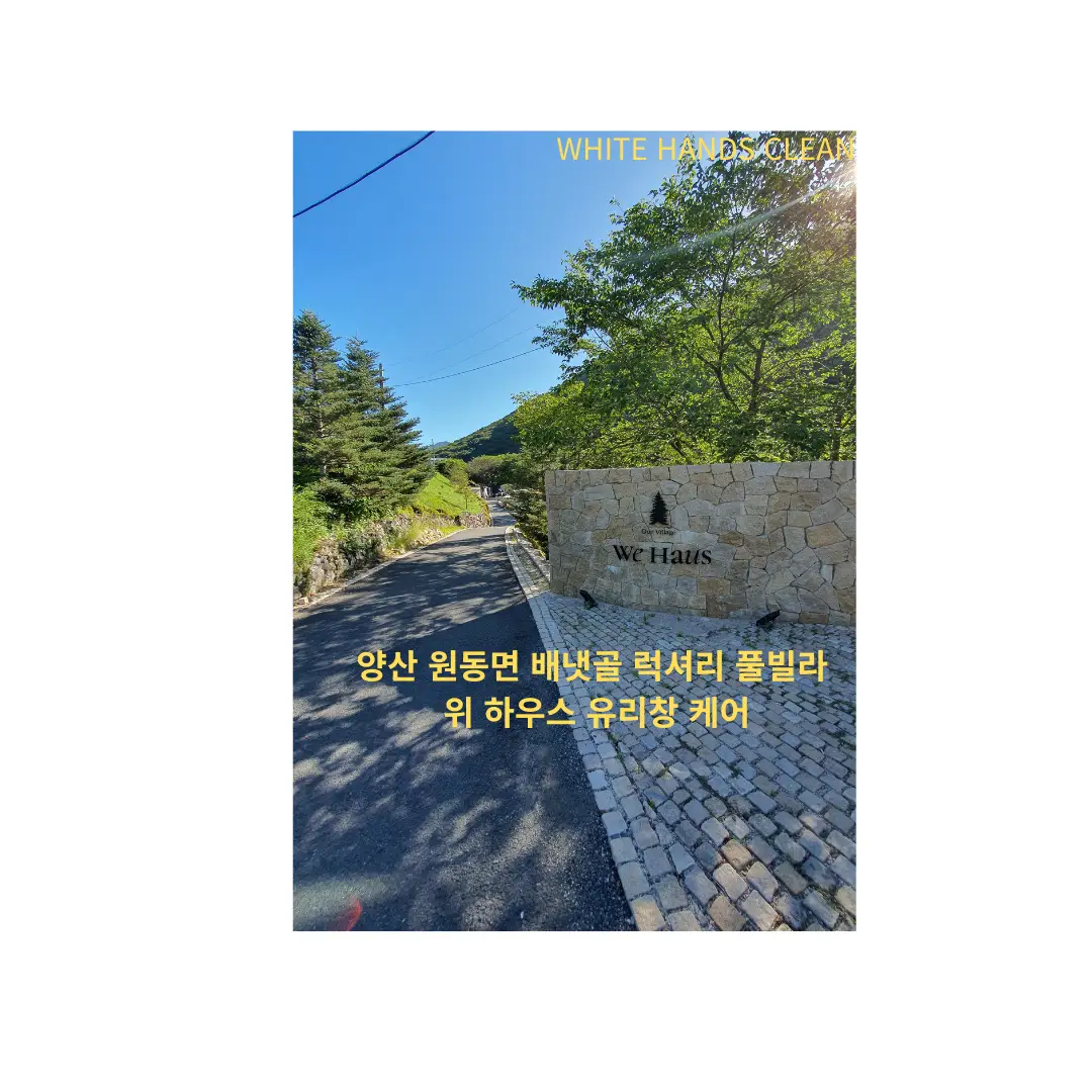 포트폴리오 대표 이미지