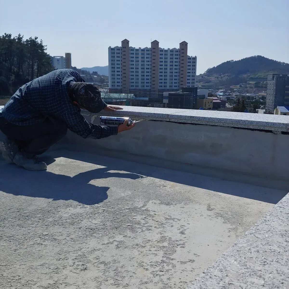 portfolio image